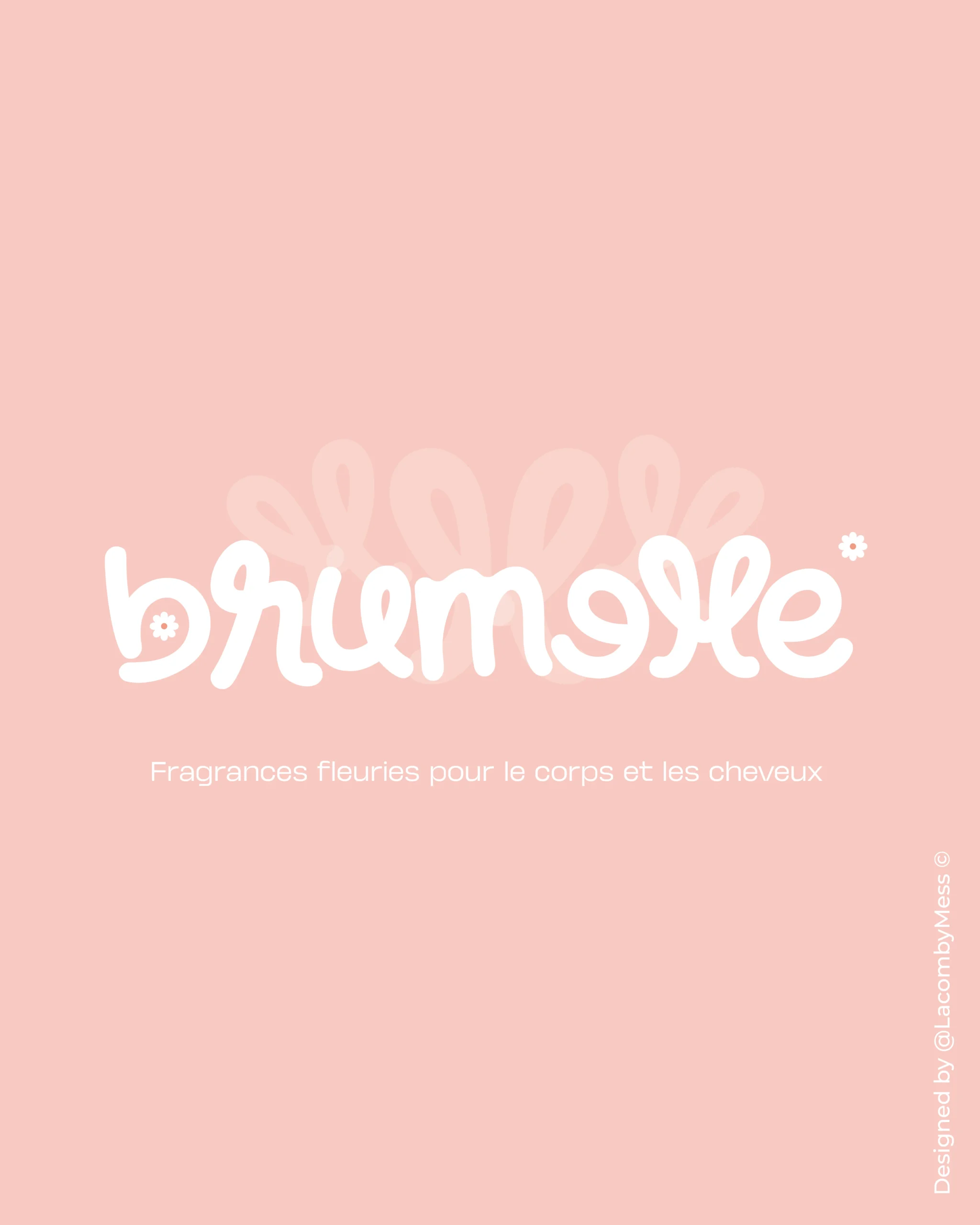 Publication _Plan de travail 1
